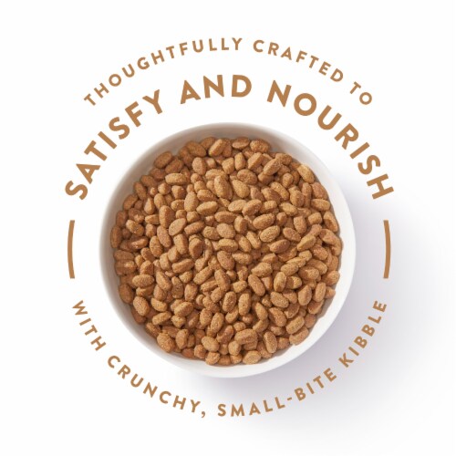 Nutro Ultra High Protein Adult Dry Dog Food Perspective: right