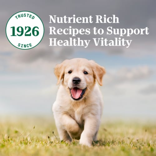 Nutro Natural Choice Chicken Brown Rice Recipe Puppy Dry Dog