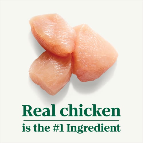 Nutro Gravy Tender Chicken Sweet Potato & Pea Stew Recipe Natural Grain Free Adult Wet Dog Food Cuts Perspective: right