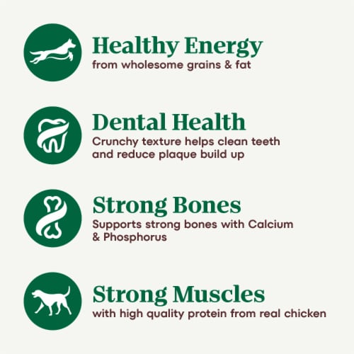 Nutro Natural Choice Chicken & Brown Rice Recipe Small Breed Adult Dry Dog Food Perspective: right