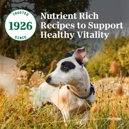 Nutro Natural Choice Chicken & Brown Rice Adult Senior Dry Dog Food Perspective: right
