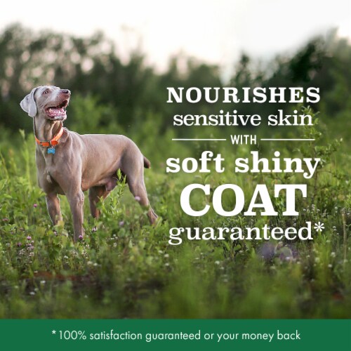 NUTRO Limited Ingredient Diet Adult Large Breed Lamb Dry Dog Food Perspective: right