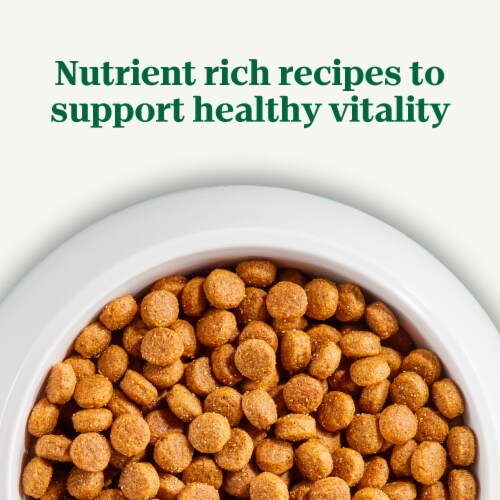 Nutro Natural Choice Beef & Brown Rice Recipe Adult Dry Dog Food Perspective: right