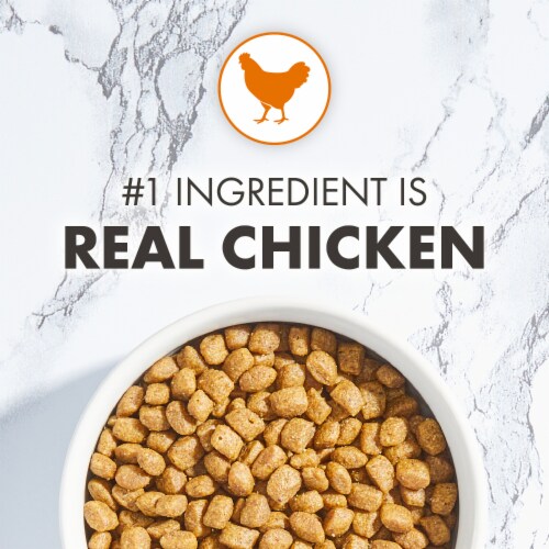 Nutro Wholesome Essentials Kitten Chicken Brown Rice Dry Cat Food