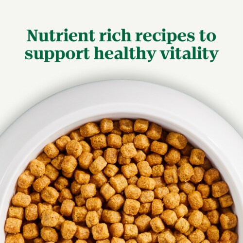 Nutro Natural Choice Small Breed Adult Dry Dog Food Chicken and Brown Rice Perspective: right