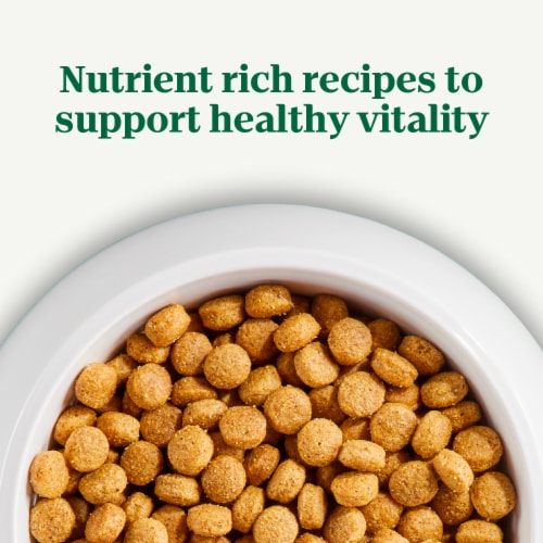 NUTRO NATURAL CHOICE Chicken & Brown Rice Dog Kibble Adult Dry Dog Food Perspective: right