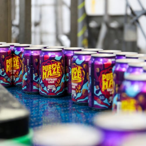 Abita Purple Haze Raspberry Lager Craft Beer 12 Pack cans 4.2% ABV Perspective: right