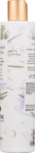 Pantene Pro-V Nutrient Blends Rosemary Shampoo Perspective: right
