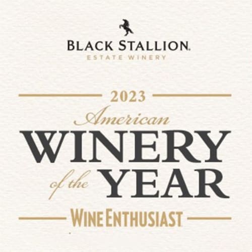 Black Stallion North Coast California Cabernet Sauvignon Red Wine Perspective: right