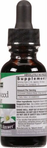 Nature's Answer Chickweed Herbal Supplement 2000mg Perspective: right