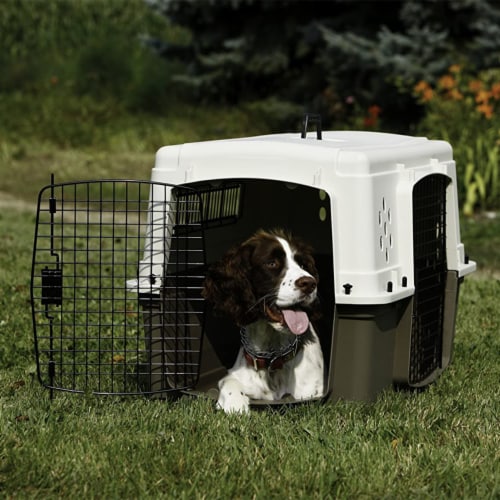 Miller Manufacturing Hard Sided Double Door Dog Pet Travel