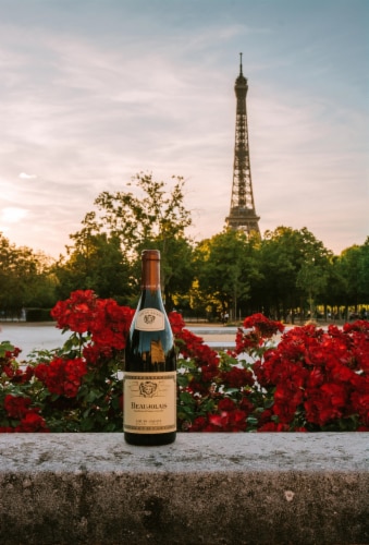 Louis Jadot Beaujolais French Red Wine Perspective: right