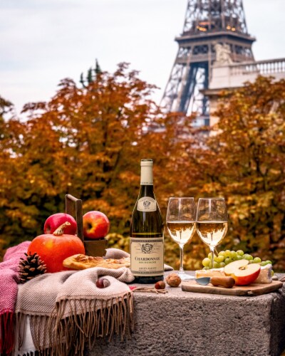 Louis Jadot Bourgogne Chardonnay French White Wine Perspective: right