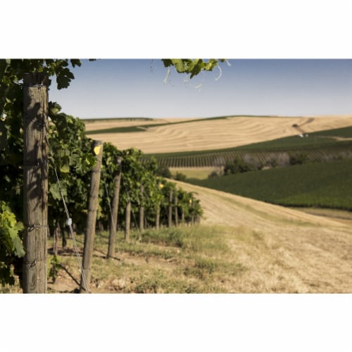 Fairbanks Sherry Blend California Sherry Perspective: right