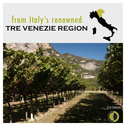 Ecco Domani® Pinot Grigio Perspective: right