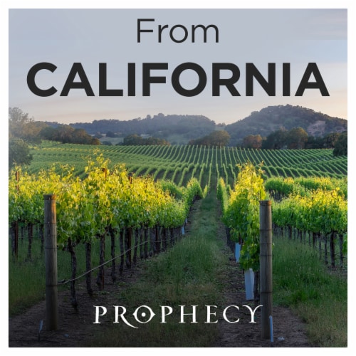 Prophecy Cabernet Sauvignon California Red Wine Perspective: right