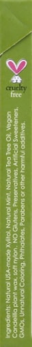 Radius Natural Vegan Xylitol Mint Floss Sachets Perspective: right