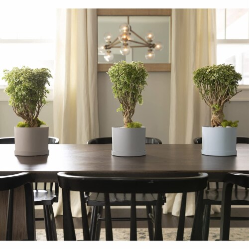 Bloem Mathers Garden Planter w/Saucer Tray Pebble Stone Beige, White, 6 Perspective: right