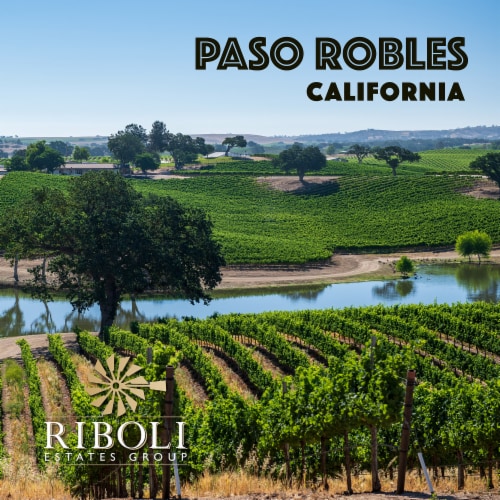 San Simeon Estate Reserve Cabernet Sauvignon California Red Wine Perspective: right
