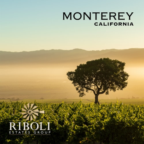 San Simeon Monterey Chardonnay California White Wine Perspective: right