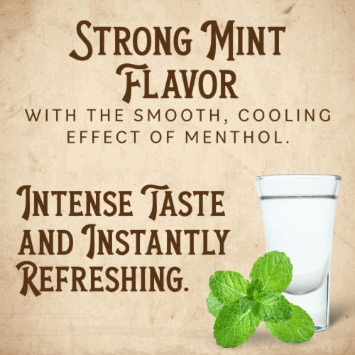 Dr. McGillicuddy’s Mentholmint Liqueur - 48 Proof Perspective: right