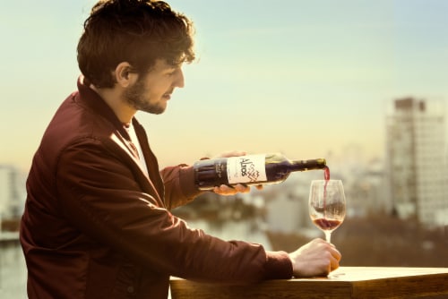 Terrazas de los Andes Altos del Plata Malbec Red Wine Perspective: right