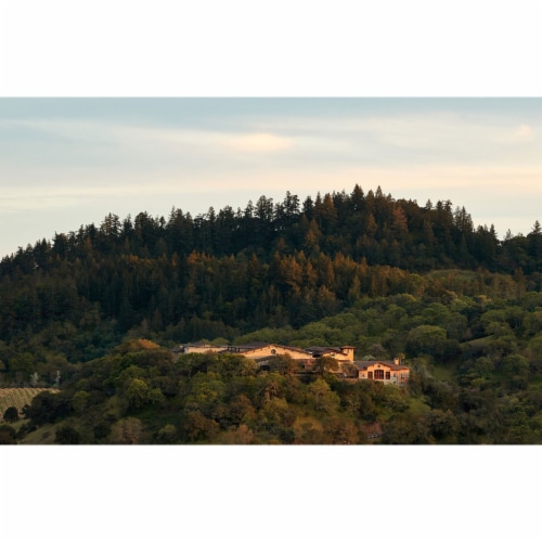 Silverado Vineyards Cabernet Sauvignon California Red Wine Perspective: right