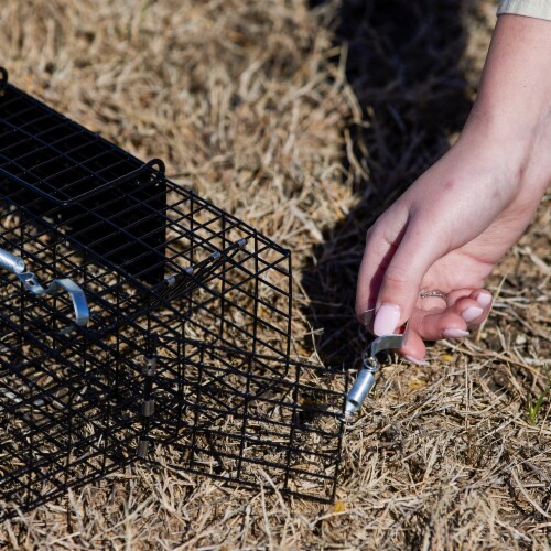 Rugged Ranch CHPTO Chipmunkinator Live Chipmunk Multi Catch 2 Door Cage