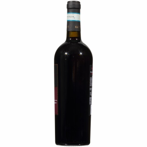 Santi Valpolicella Ripasso Red Wine Perspective: right