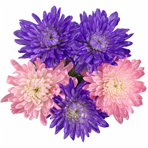 Mother's Day Metallic Disbuds Fresh Flower Bouquet Perspective: right