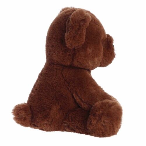 Aurora Small Chocolate Bear Gelato Bear 9 inch Chocolate Snuggly ...