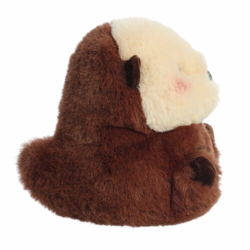 Aurora World Rolly Pet Smiles Sea Otter Plush 5 Inch, 1 - Fry’s Food Stores
