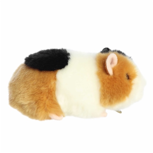 Aurora Small Multicolor Miyoni 7.5 inch American Guinea Pig Realistic ...