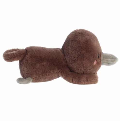 Aurora Small Brown Too Cute 9 inch Pimmy Platypus Playful Stuffed ...
