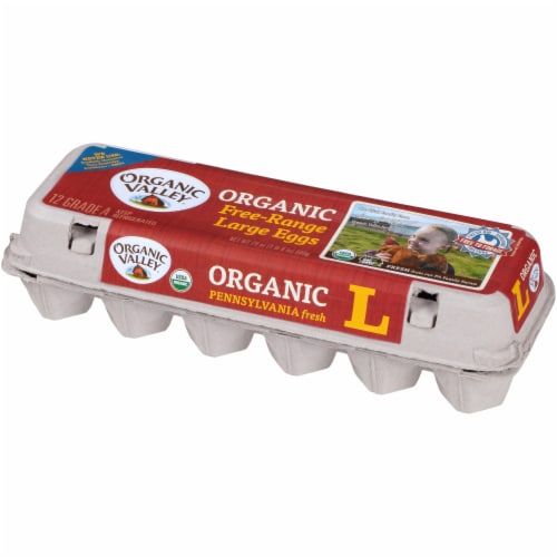 Organic Valley® Free Range Large Brown Eggs Perspective: right