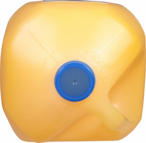 Tampico Citrus Punch 1 gal Perspective: right