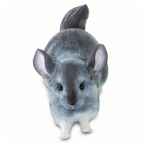 Chinchilla Perspective: right