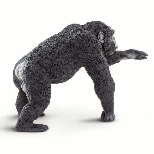 Chimpanzee Perspective: right