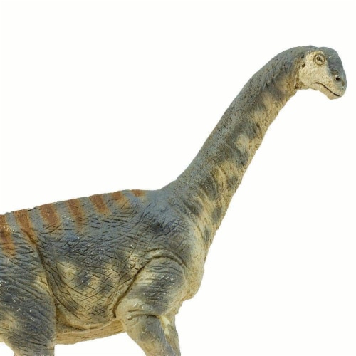 Camarasaurus Toy Perspective: right