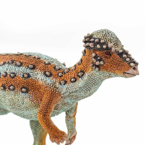 Pachycephalosaurus Toy Perspective: right