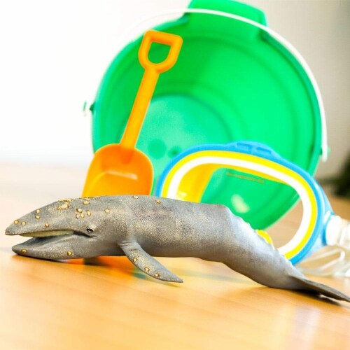 Gray Whale Toy Perspective: right