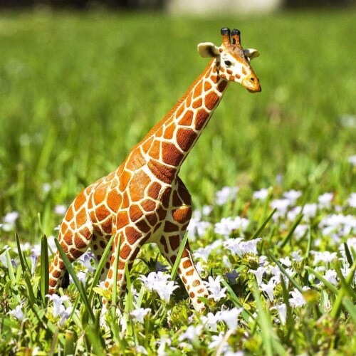 Reticulated Giraffe Toy Perspective: right