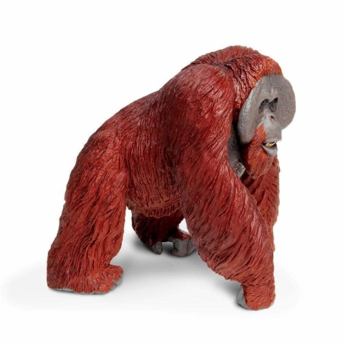 Bornean Orangutan Toy Perspective: right