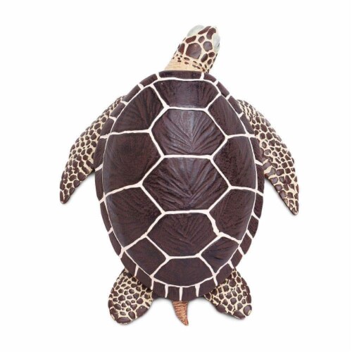 Sea Turtle Perspective: right