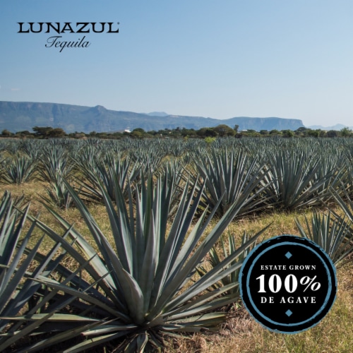 Lunazul Blanco Tequila Perspective: right