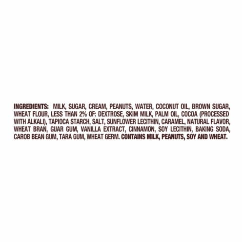 Talenti Layers Peanut Butter Crunch Graham Brown Sugar Vanilla Gelato Pint Perspective: right