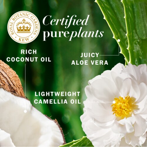 Herbal Essences bio:renew Coconut Milk Hydrating Conditioner Perspective: right