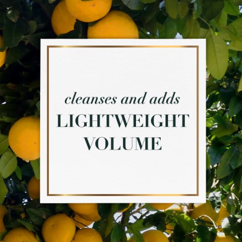 Herbal Essences bio:renew White Grapefruit & Mosa Mint Shampoo and Conditioner Bundle Pack Perspective: right