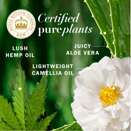 Herbal Essences Hemp Oil Shampoo with Camellia Oil and Aloe Vera Sulfate Free for all Hair Types Perspective: right