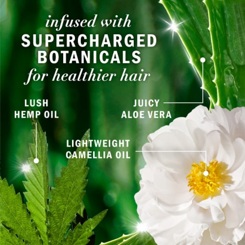 Herbal Essences Hemp Oil Conditioner with Camellia Oil and Aloe Vera Sulfate Free for all Hair Types Perspective: right